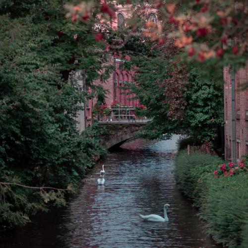 Bélgica